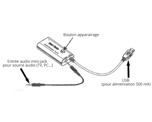Real Cable iPlug-BTX
