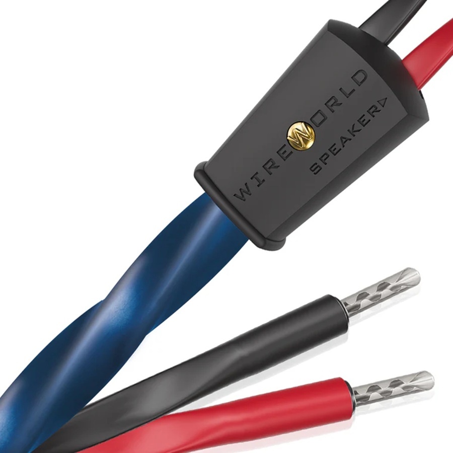 Wireworld Oasis 10 (OAS)