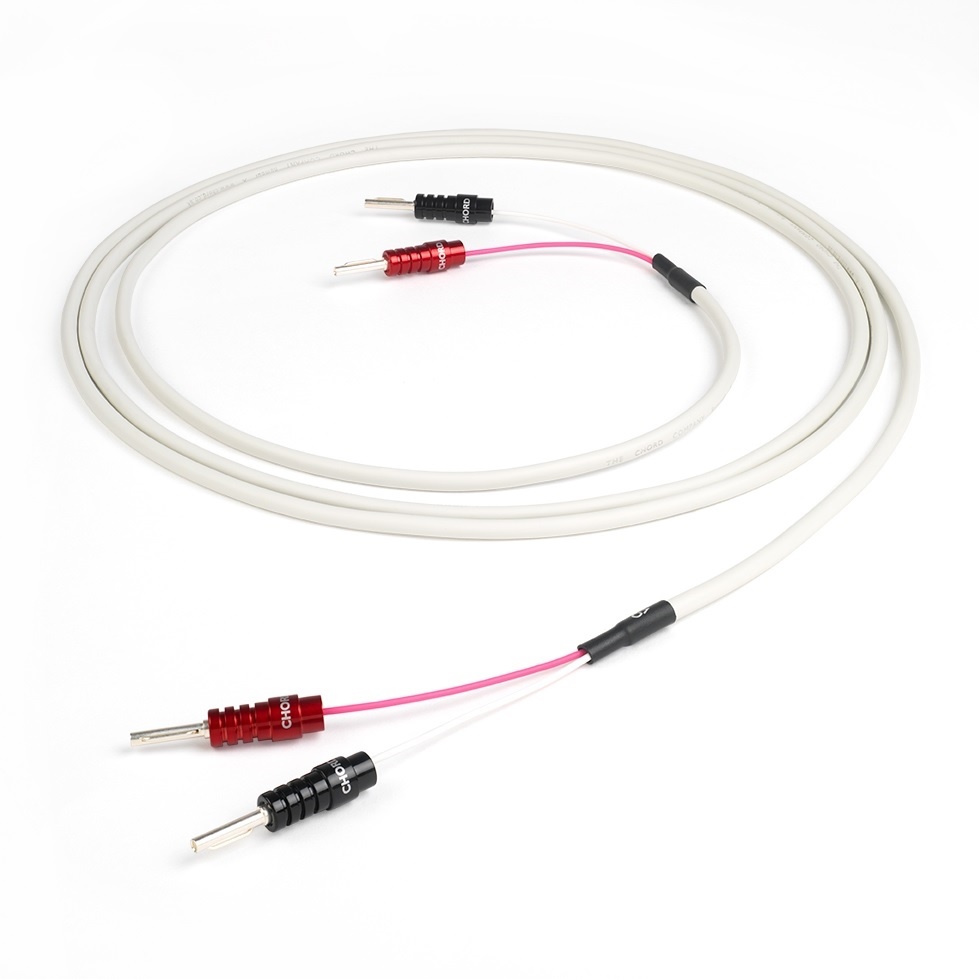 Chord RumourX / ChordOhmic
