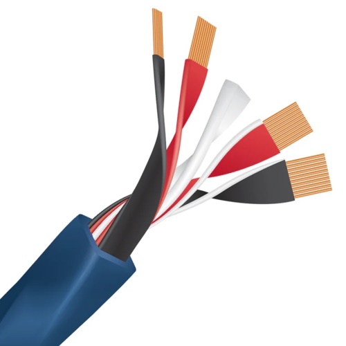 Wireworld Oasis 10 (OAS)