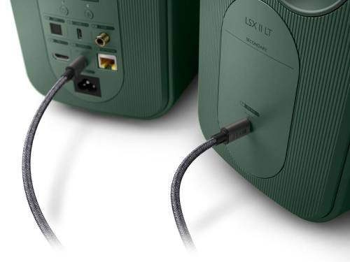 KEF C-Link Interspeaker