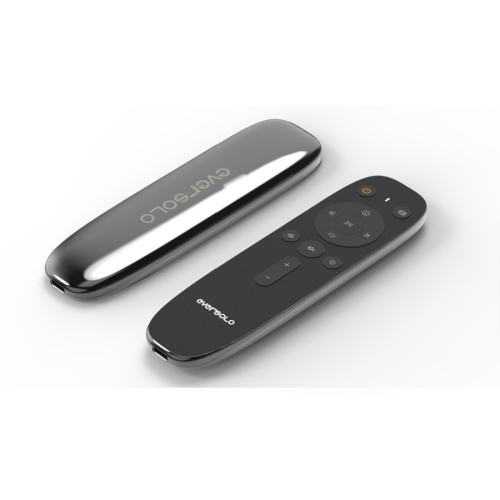 EverSolo DMP-A10