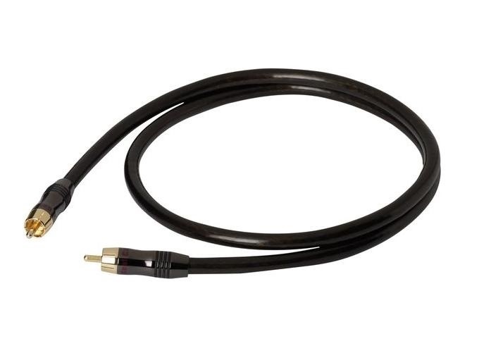 Real Cable E AN