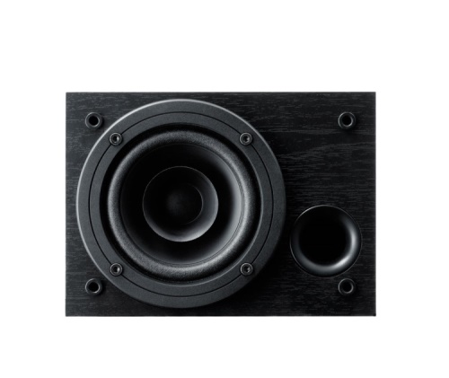 Pioneer S-ESR2TB