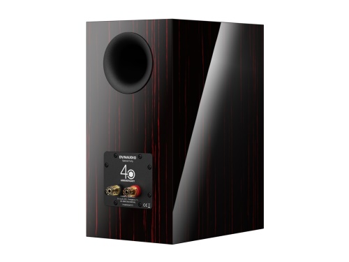 Dynaudio Special Forty + Stand 20 zdarma