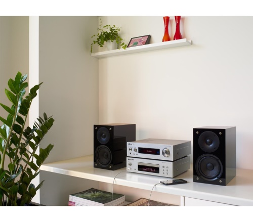 Pioneer P1
