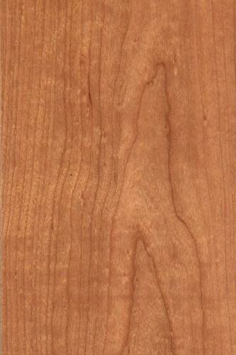 Xavian XN Virtuosa   