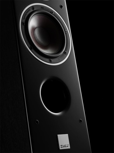 DALI Zensor 5 + NAD C 316BEE