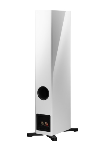 Dynaudio Evoke 30