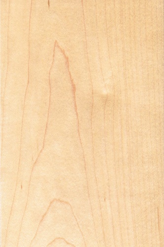 Xavian XN Virtuosa   