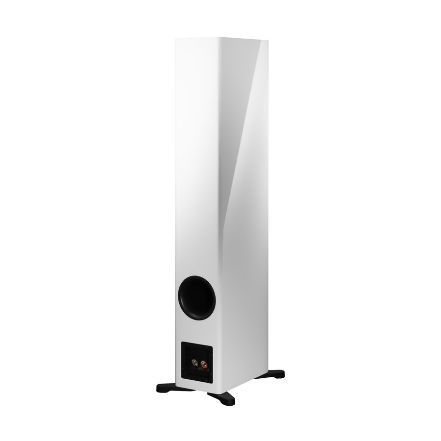 Dynaudio Evoke 50