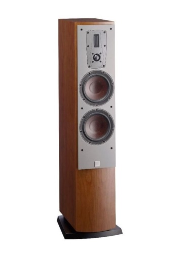 DALI Mentor 6