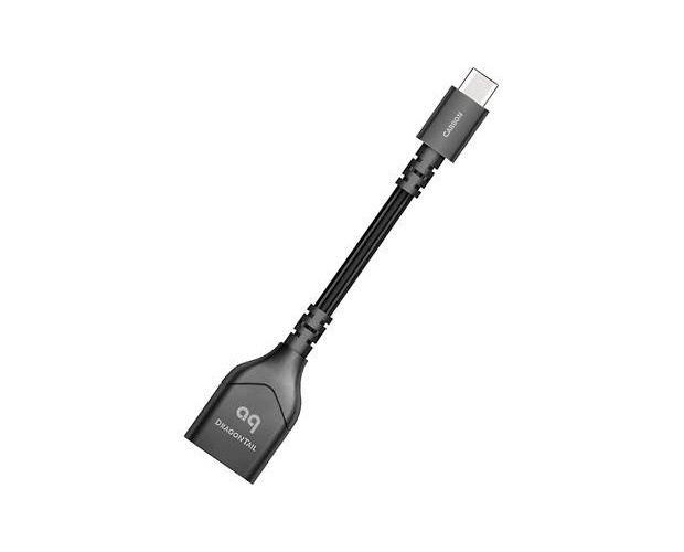 Audioquest DragonTail USB-C