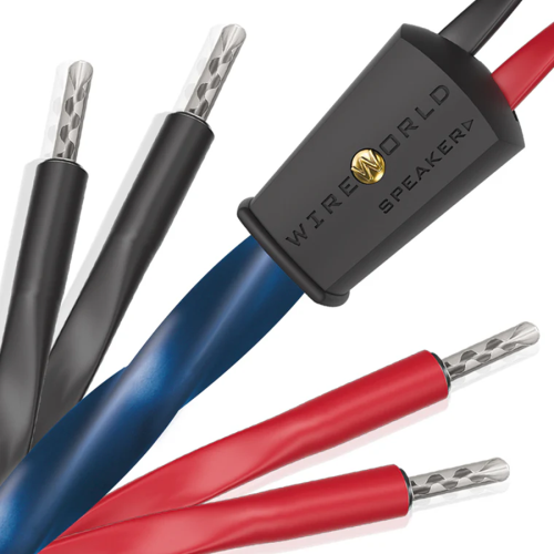 Wireworld Oasis 10 (OAS)