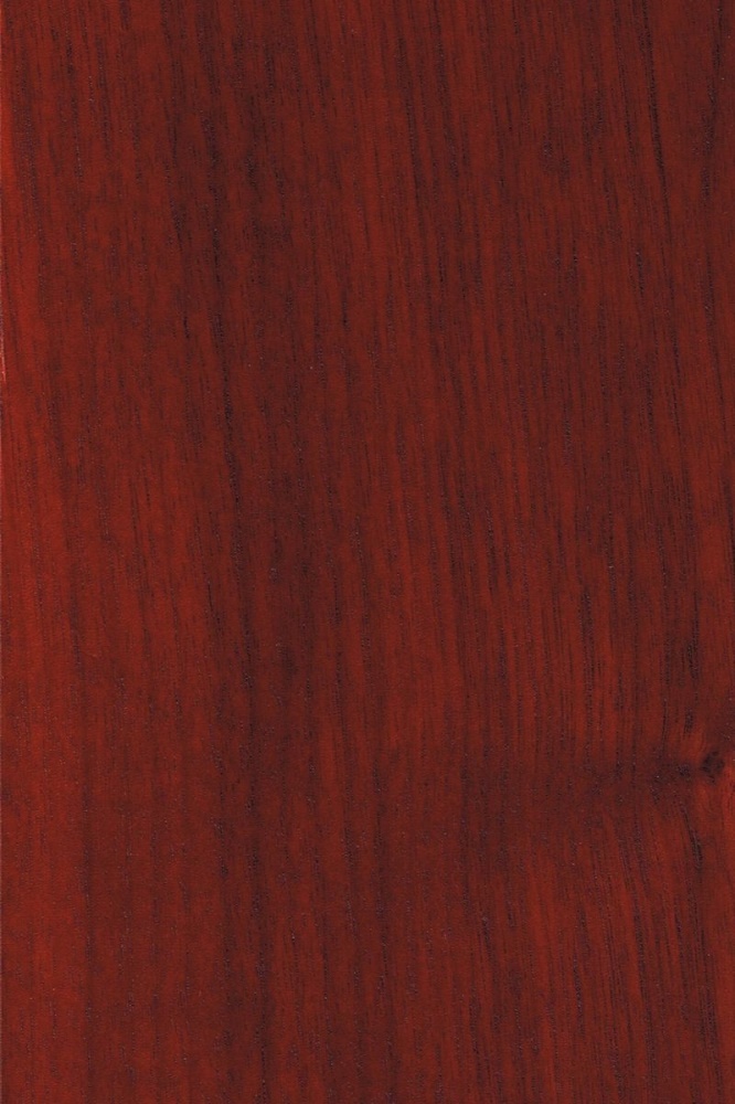 Xavian XN Virtuosa   