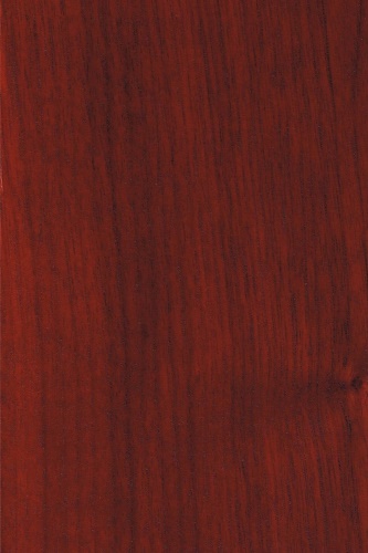 Xavian XN Virtuosa   
