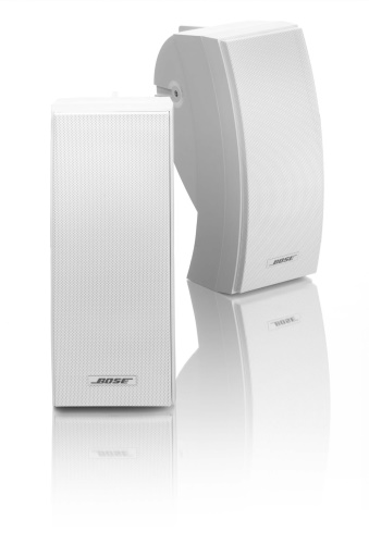 BOSE 251