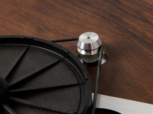 Rega Planar 3 50 Anniversary Edition + (Rega Exact MM)