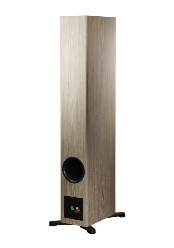 Dynaudio Evoke 50