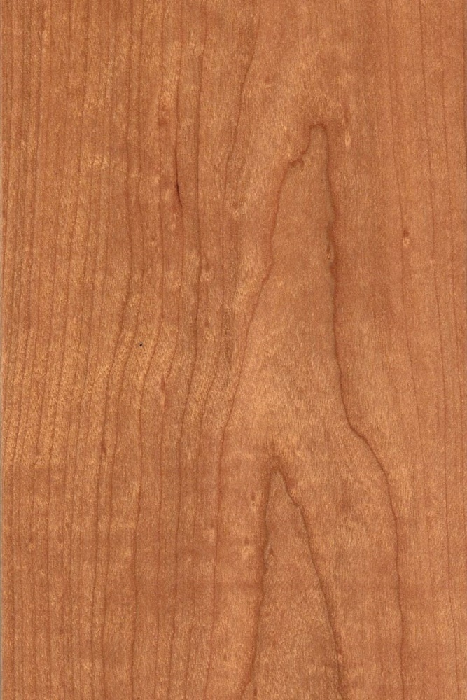 Xavian XN 270 EVOLUZIONE