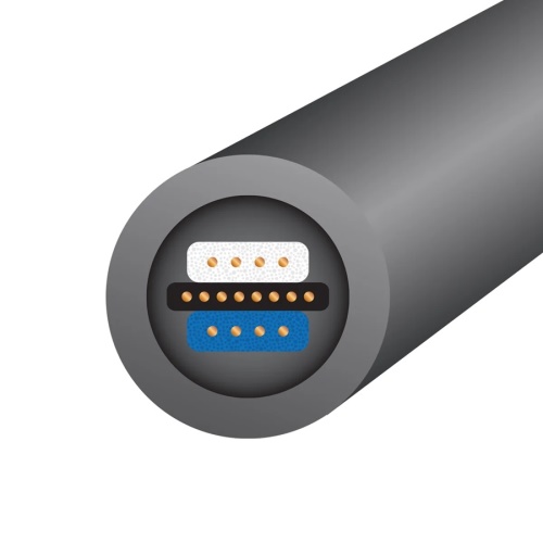 Wireworld Equinox 10 (XLR na XLR)