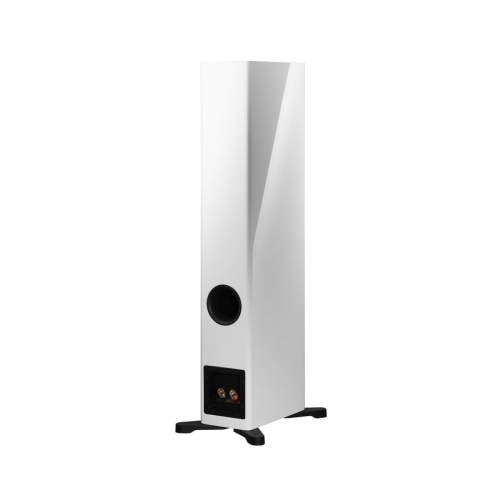 Dynaudio Evoke 30